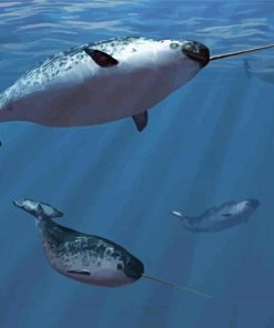 Narwhal Underwater Animals Paint By Numbers