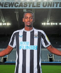 Newcastle United Alexander Isak Player Paint By Numbers