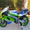 Ninja ZX 7R Paint By Numbers