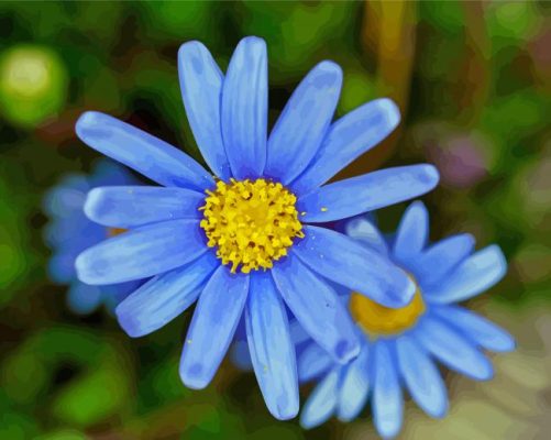 Pastel Blue Flower Paint By Numbers