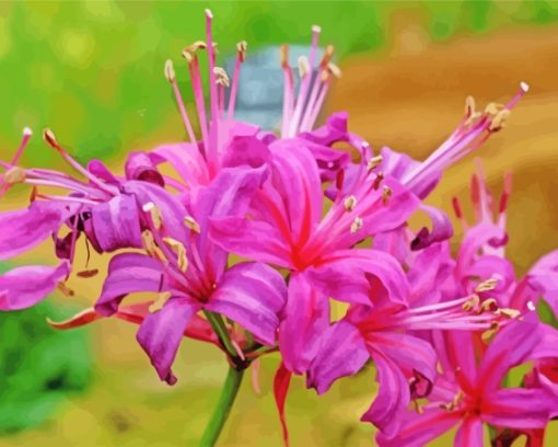 Purple Nerine Flowers Paint By Numbers