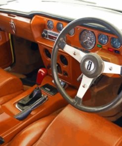 Reliant Scimitar Car Interior Paint By Numbers