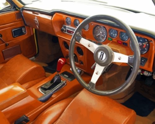 Reliant Scimitar Car Interior Paint By Numbers