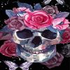 Skulls And Pink Roses Paint By Numbers