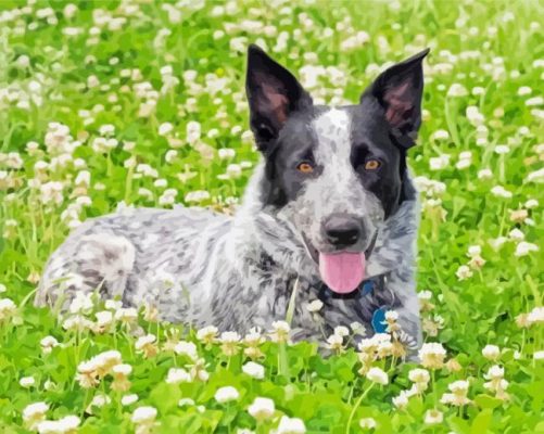 Texas Heeler In Flowers Meadow Paint By Numbers