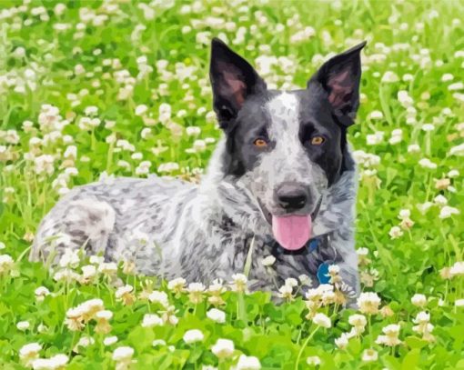 Texas Heeler In Flowers Meadow Paint By Numbers