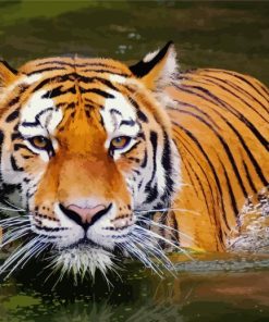 Tiger In Water Paint By Numbers