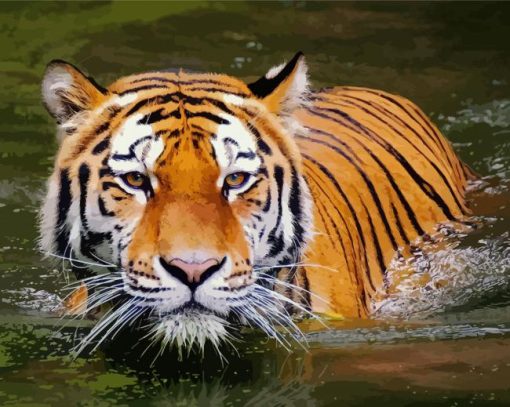 Tiger In Water Paint By Numbers