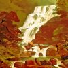 Torc Waterfall Ireland Paint By Numbers