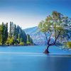 Tree In Lake Wanaka Paint By Numbers