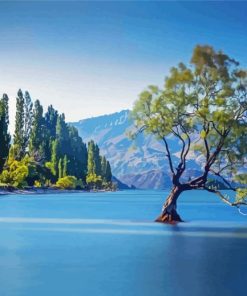 Tree In Lake Wanaka Paint By Numbers