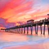 Venice Florida Pier Pink Sunset Paint By Numbers