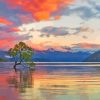 Wanaka Lake Tree Paint By Numbers