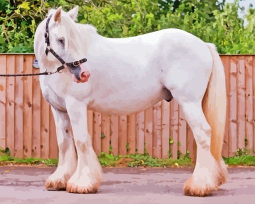 White Cob Horse Animal Paint By Numbers