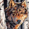 Wolf Among Birches Paint By Numbers