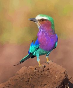 Aesthetic Lilac Breasted Roller Paint By Numbers