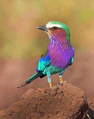 Aesthetic Lilac Breasted Roller Paint By Numbers