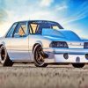 Aesthetic Mustang Fox Body Paint By Numbers