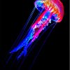 Aesthetic Neon Jellyfish Paint By Numbers