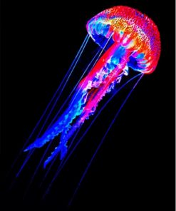 Aesthetic Neon Jellyfish Paint By Numbers