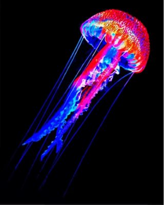 Aesthetic Neon Jellyfish Paint By Numbers