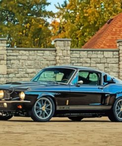 Black Fastback Mustang Paint By Numbers