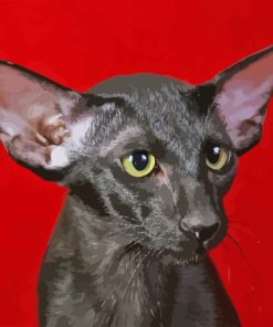 Black Oriental Shorthair Cat Paint By Numbers