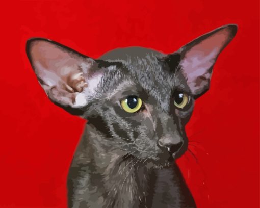 Black Oriental Shorthair Cat Paint By Numbers