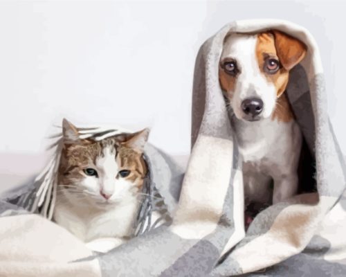 Cat And Jack Russell Under Blanket Paint By Numbers