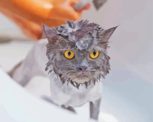 Cat Taking Shower Paint By Numbers