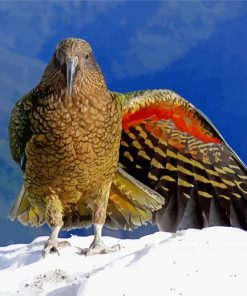 Cool Kea Paint By Numbers