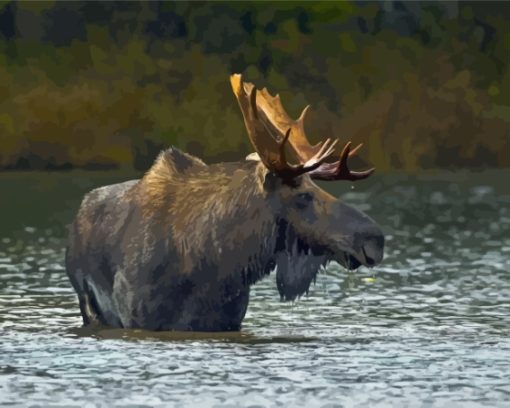 Moose Lake State Park Paint By Numbers