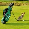 Dog With Golf Equipements Paint By Numbers