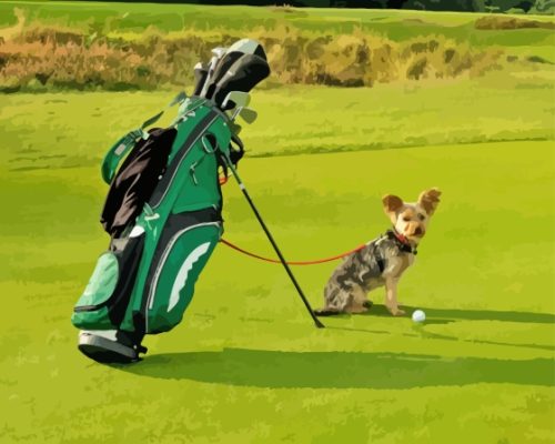 Dog With Golf Equipements Paint By Numbers