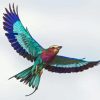 Flying Lilac Breasted Roller Paint By Numbers