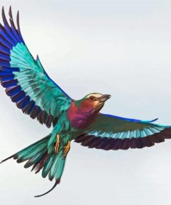 Flying Lilac Breasted Roller Paint By Numbers