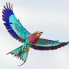 Flying Lilac Roller African Bird Paint By Numbers