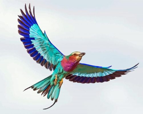 Flying Lilac Roller African Bird Paint By Numbers