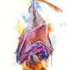 Giant Golden Crowned Flying Fox Art Paint By Numbers