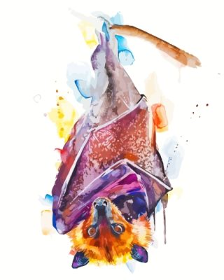 Giant Golden Crowned Flying Fox Art Paint By Numbers