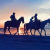 Horse Ride On The Beach With A Sunset Paint By Numbers