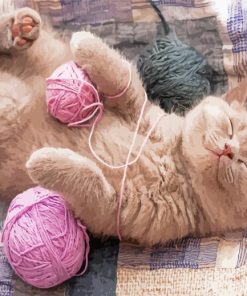 kitten With Pink Yarns Paint By Numbers