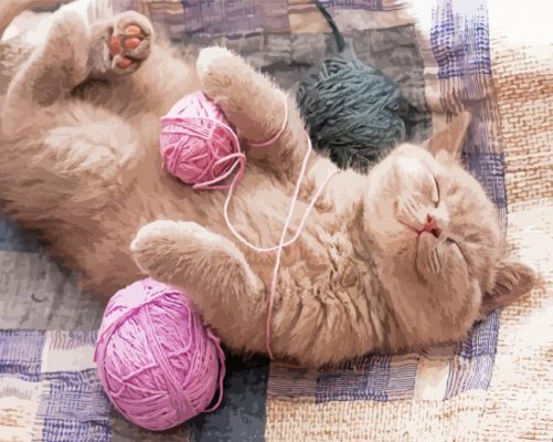 kitten With Pink Yarns Paint By Numbers