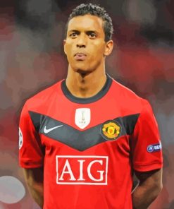 Luis Nani Footballer Paint By Numbers