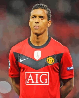 Luis Nani Footballer Paint By Numbers