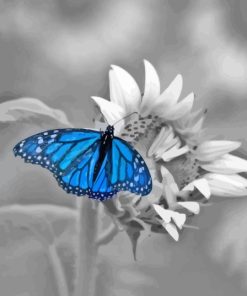 Monochrome Blue Butterfly Paint By Numbers