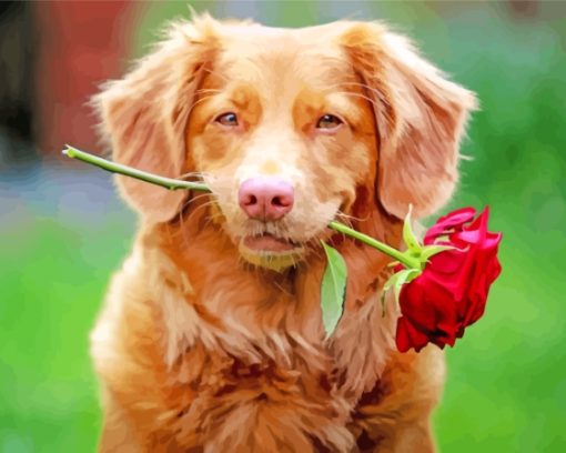 Puppy With Rose Paint By Numbers