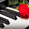 Rose Flower Keys Piano Paint By Numbers