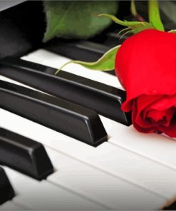 Rose Flower Keys Piano Paint By Numbers