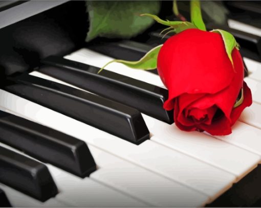 Rose Flower Keys Piano Paint By Numbers